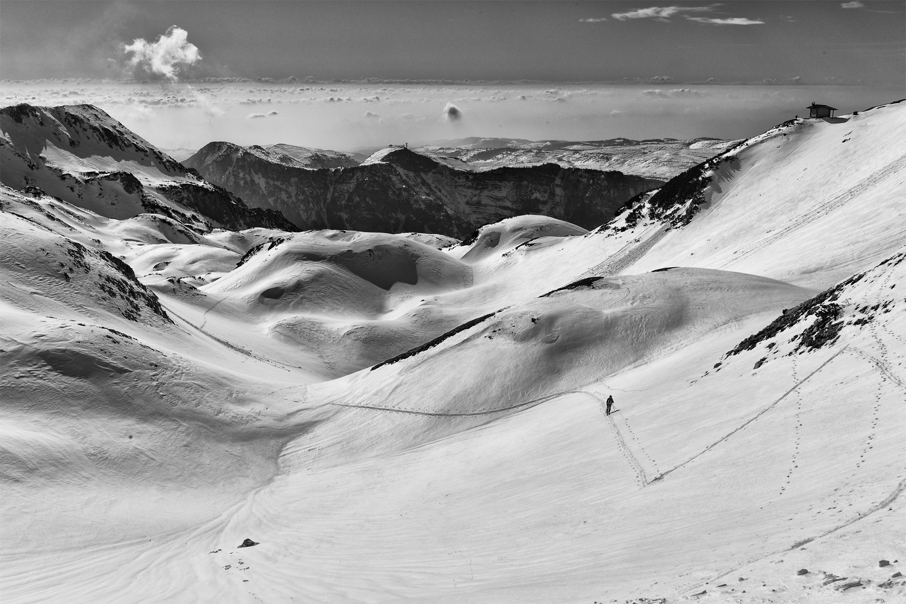 Vallone_Cavai2002202299_60 copia