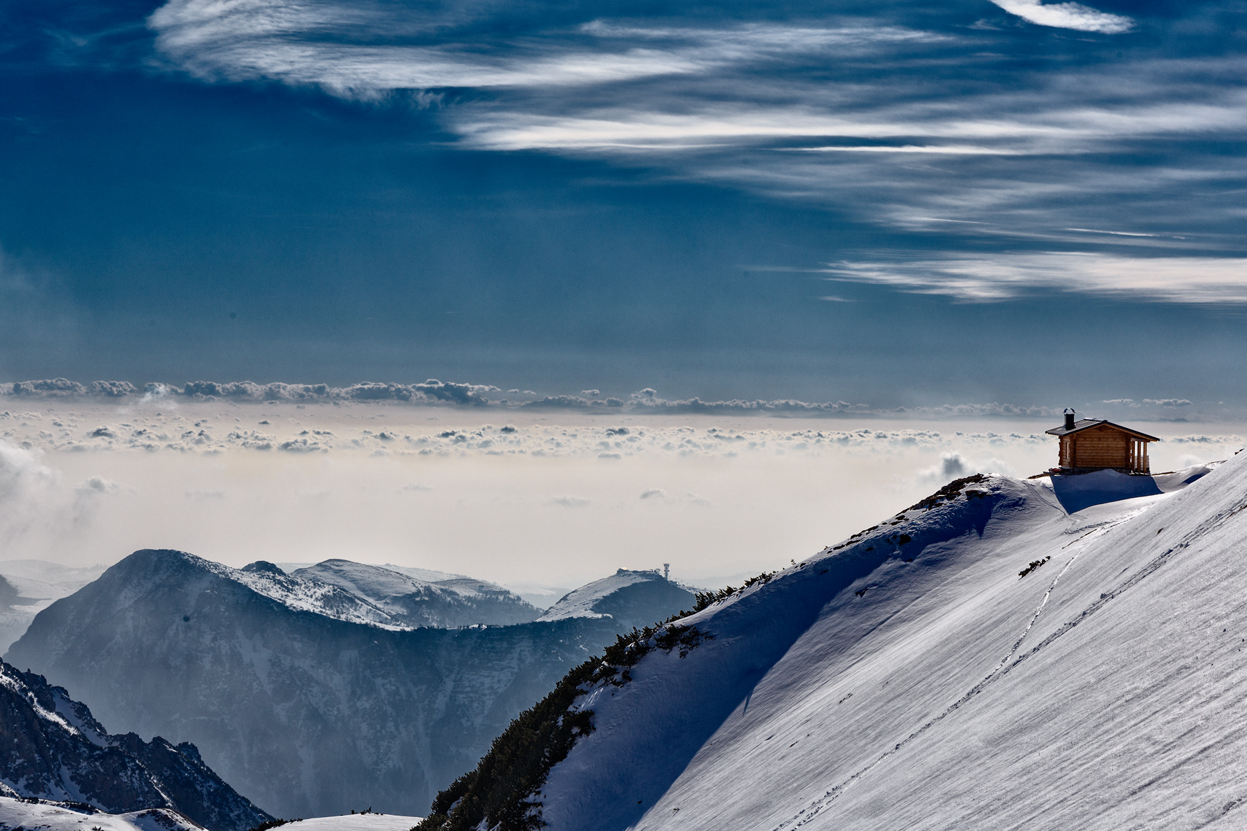 Vallone_Cavai2002202299_93