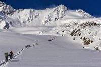 Forni Glacier - Ski mountaineers on the way to reach  Pizzo Tresero