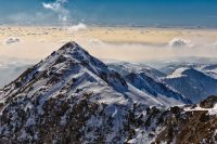 Vallone_Cavai2002202299_82